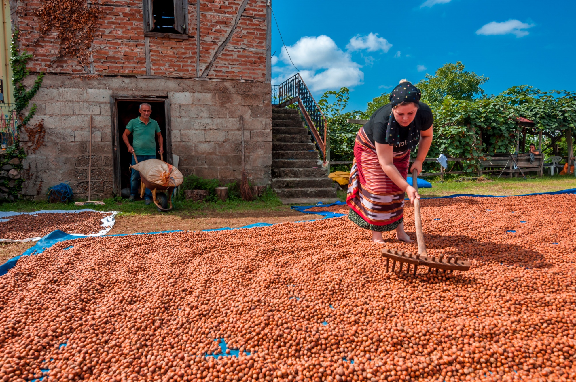 Altınordu Kayabaşı
